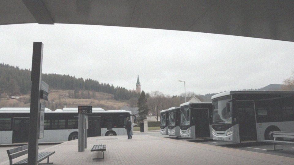 Jakie usługi transportowe oferują przewoźnicy do Wysowej-Zdroju?